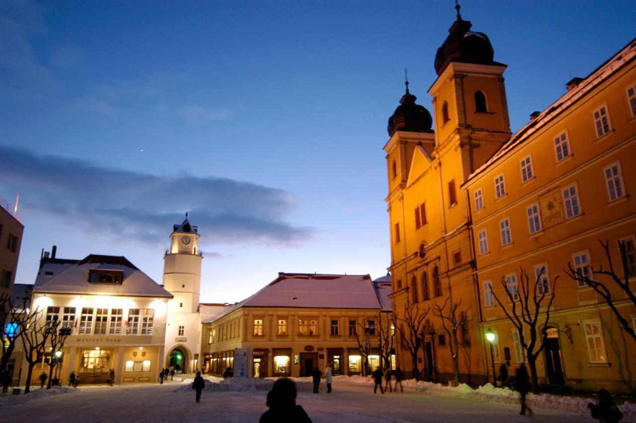 Parkhotel Na Baracke Nova Dubnica Exterior photo